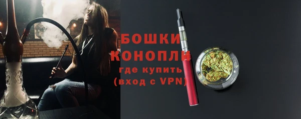 прущие крисы Вяземский