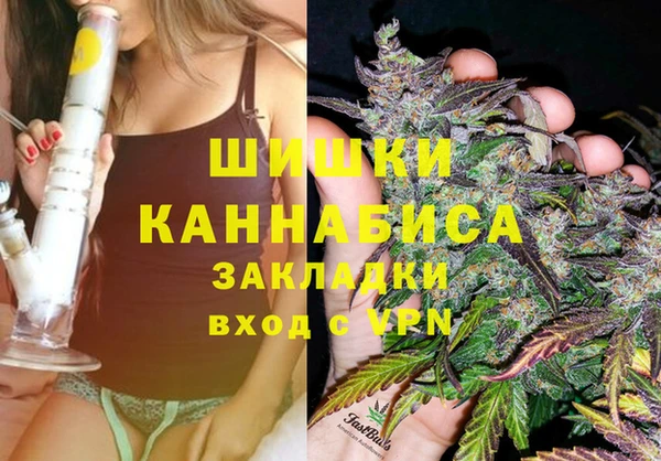 шишки Вязьма