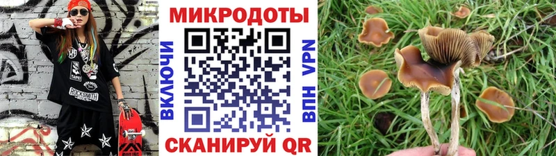 Псилоцибиновые грибы Cubensis  сайты даркнета клад  Жуков 